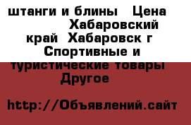 штанги и блины › Цена ­ 13 000 - Хабаровский край, Хабаровск г. Спортивные и туристические товары » Другое   